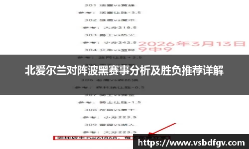 333体育北爱尔兰对阵波黑赛事分析及胜负推荐详解